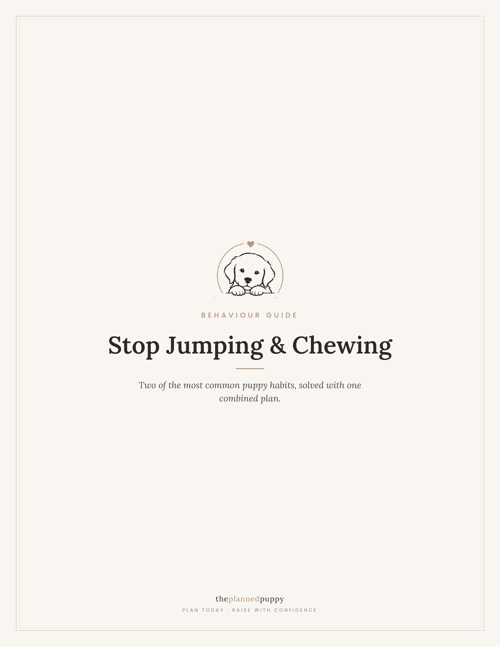 Stop Jumping & Chewing